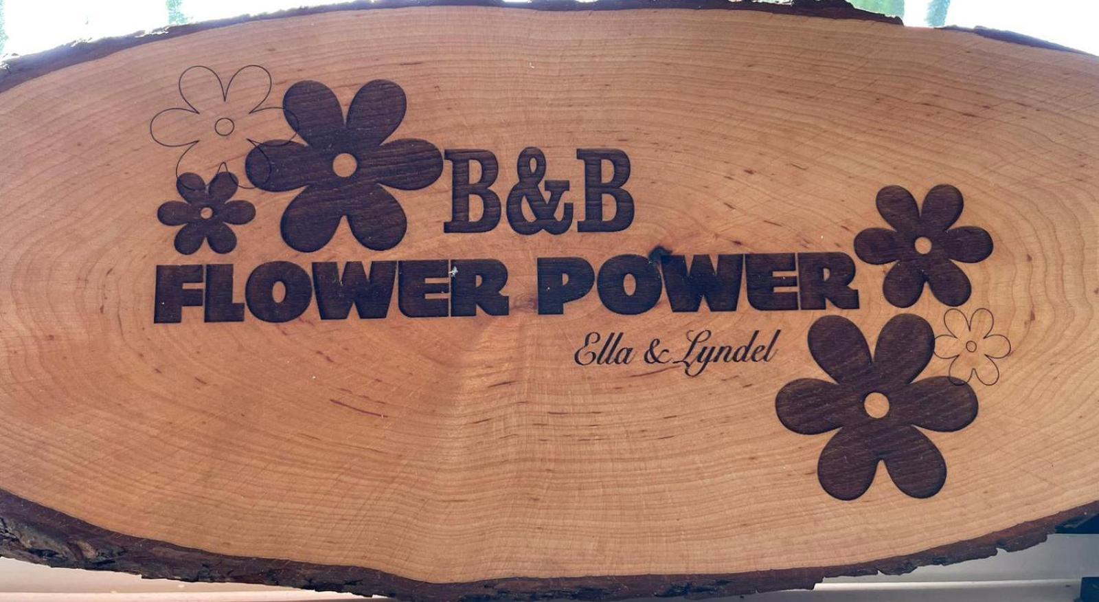 אנה פאולואונה Flower Power מראה חיצוני תמונה